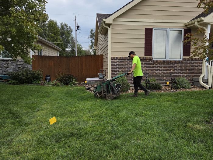 Lawn Renovation