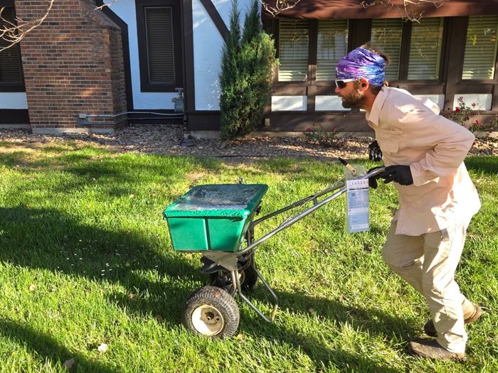 TTC technician applying granular fertilizer with a push spreader