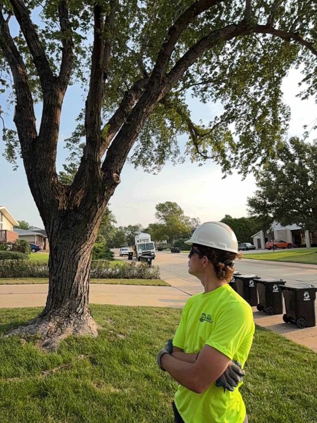 Diagnosed by Saline County's only certified arborist.