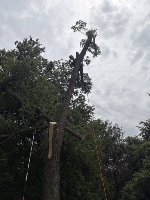 Topping out on a removal