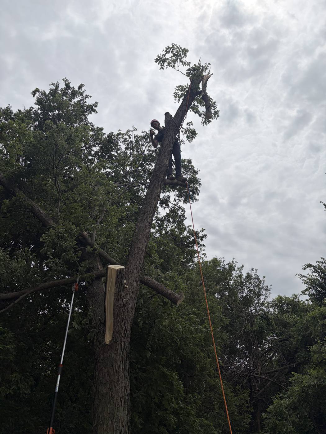 Topping out on a removal