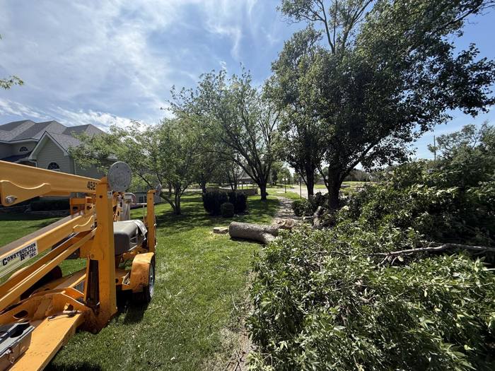 Brush pile after a trim