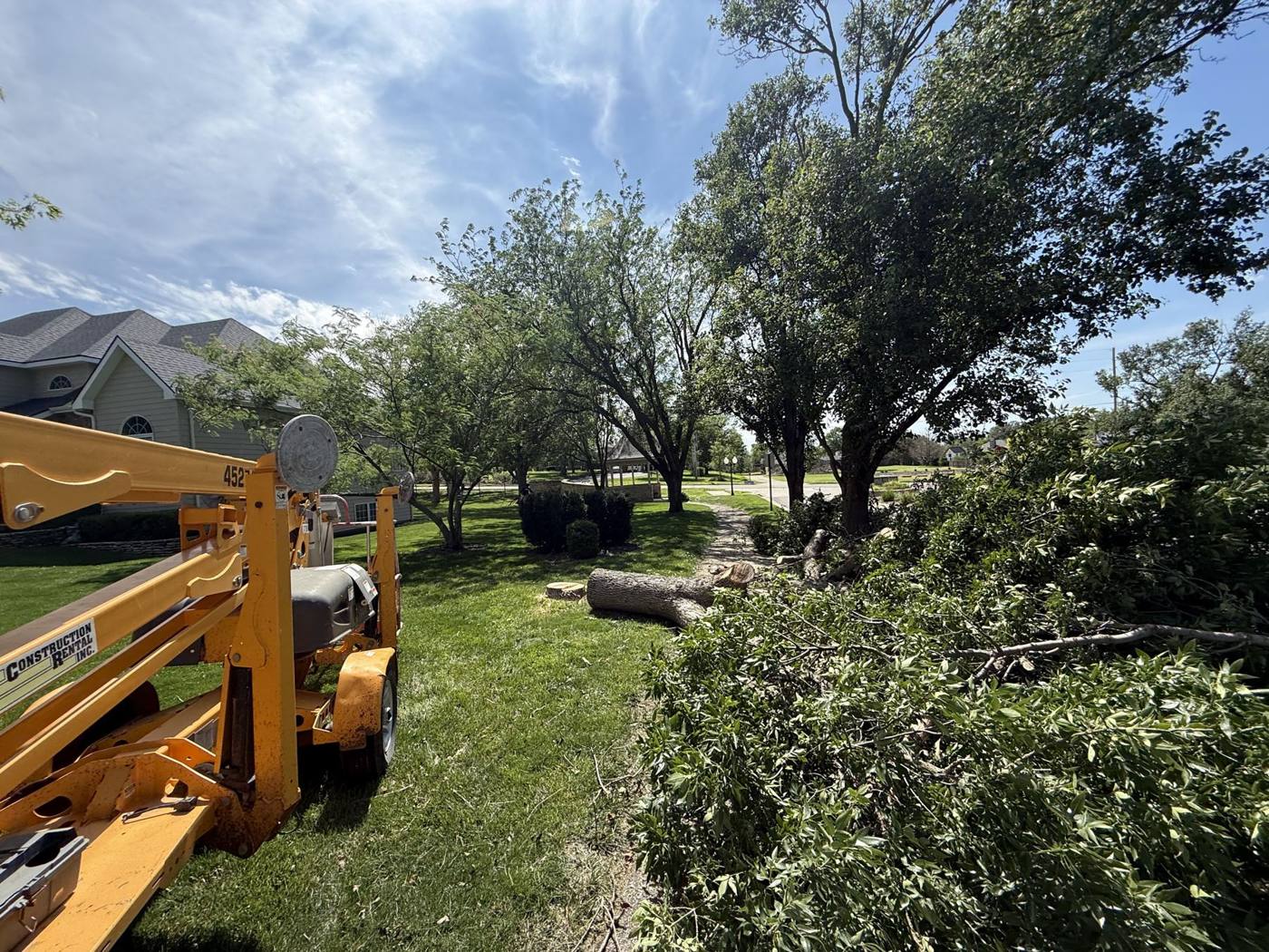 Brush pile after a trim