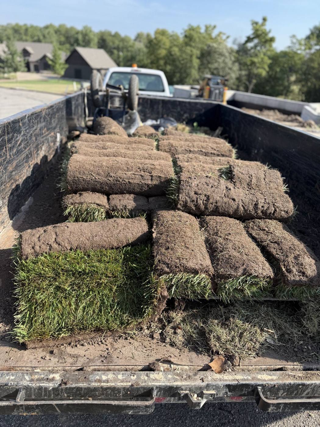 Only need a few pieces of sod?