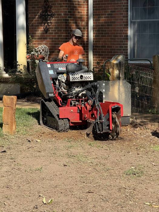 Stump grinder at work